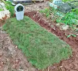 1paket jasa pasang rumput makam