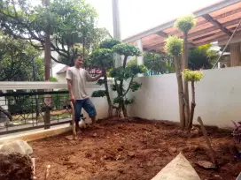 taman minimalis murah
