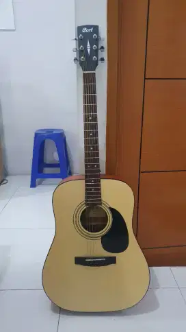 Jual gitar akustik