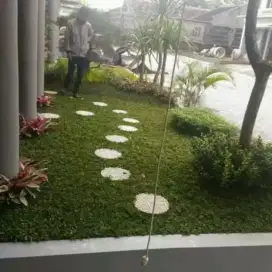 Spesialis Taman Dan kolam