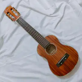 Gitar Guitalele Device