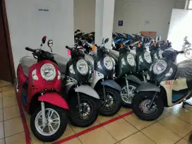 Lowongan marketing officer dan sales counter