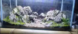 Aquascape aquarium