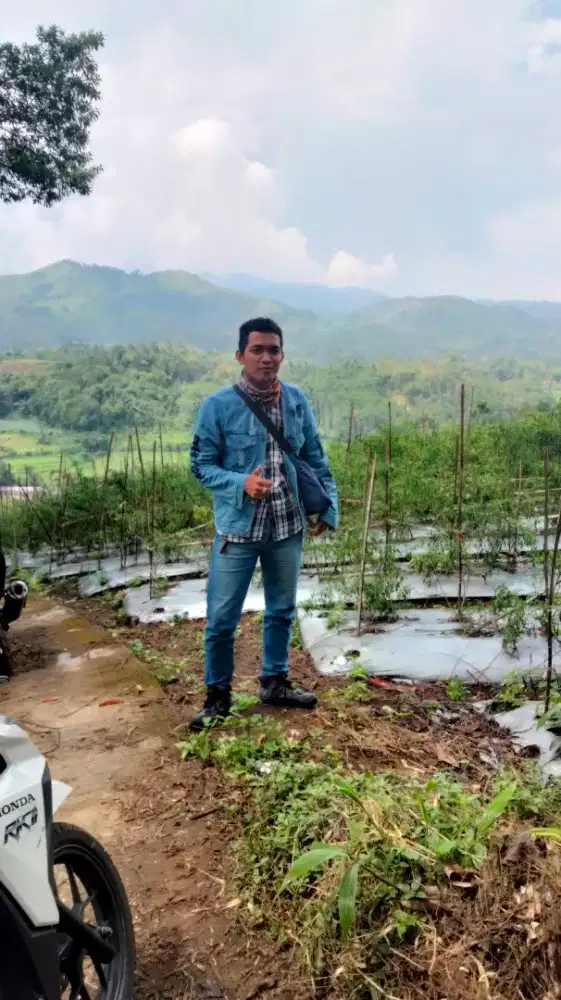 Mencari pekerjaan apa saja