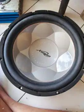 Titanium TS1200 speaker