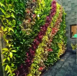 Taman vertikal garden area Jabodetabek