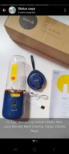 Deerma Mini Juicer Blender