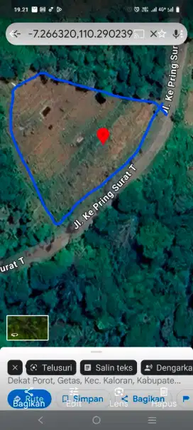 DIJUAL KEBUN BUAH 135 RB/METER