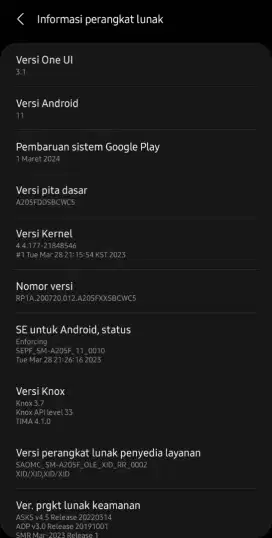 CARI (BUKAN JUAL) Samsung A20s Minus LCD