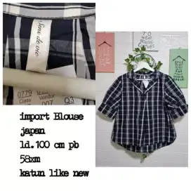 Plaid import blouse