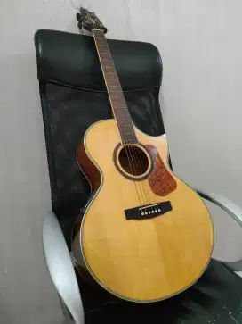 Gitar Cort NDX20 original