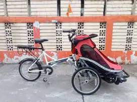 Sepeda Cargo Zigo leader bkn thule or burley