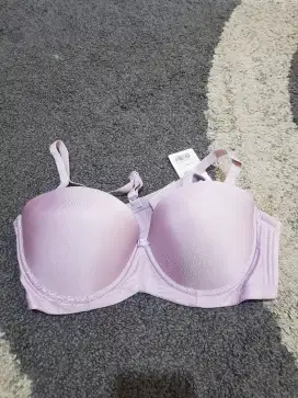 Bra BH Sorella Half Cup Busa Tebal

New segel bersih
Size B85/36B