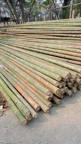 Jual bambu dan papan