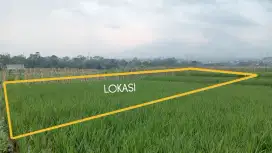 Sawah produktif dijual murah masuk mobil