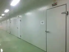 Cold Storage Cold Room 30 Ton