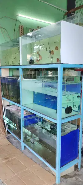 Aquarium dan rak besi