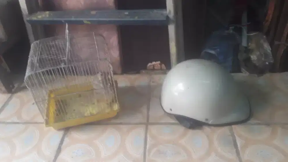 Slhkn plh slh 1 dr kandang burung atau sblh nya kond bgs mls murah sj
