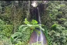 Dijual Tanah Kebun Durian Los Sungai Dan Air Terjun Di Tabanan Bali