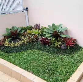 Jasa pembuatan taman kering #6