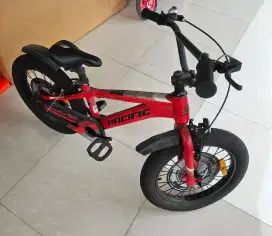 Sepeda anak pacific