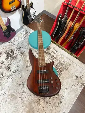 Jackson JS Series Spectra JS3 5 String
