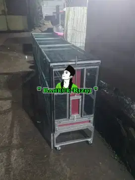 Keparan umbaran murai