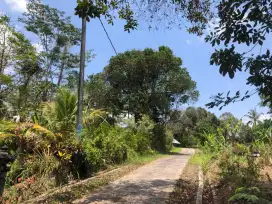 Tanah kebun los sungai harga murah di tabanan bali.