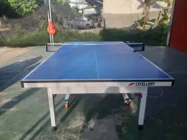 TENIS MEJA PINGPONG