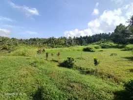 Tanah Harga Murah di Selemadeg Tabanan Bali