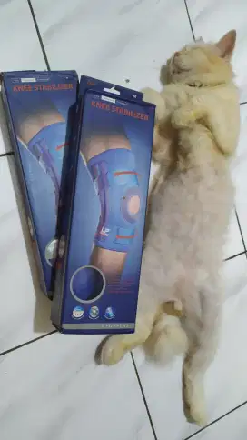 Knee Support Deker Lutut Stabilizer LP-709 Size M