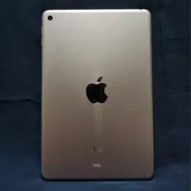 iPad Mini 4 Grey