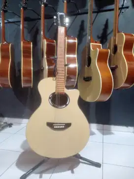 Gitar Cartesiuz M400