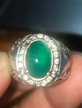 Istimewa Bacan Gulau Gulao Kura Hijau Metalik Hijau Botol