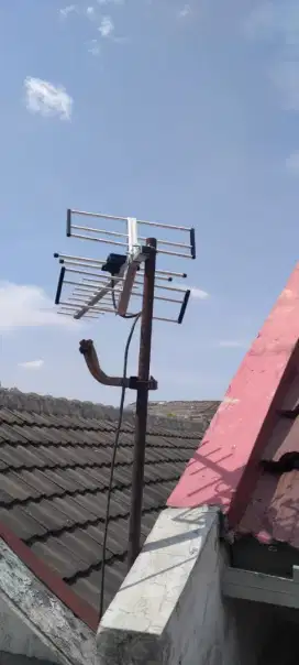 Antena bening darjo