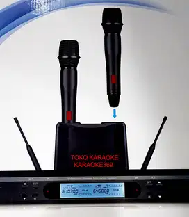 mic wireless model cas