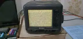 Tv color solidex 5.5 inch