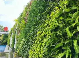 Jasa pembuatan taman vertical garden
