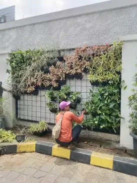 Vertical Garden termurah di Jakarta