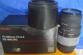 Sigma 70-300mm F4-5.6 DG macro