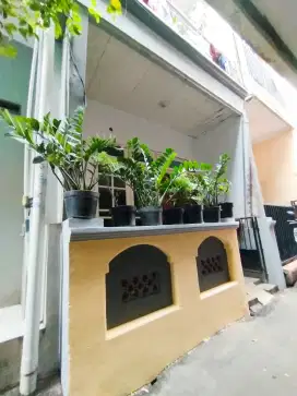 Rumah baru renovasi jual murahh