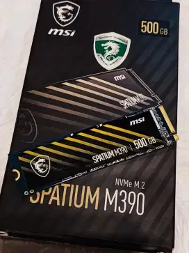 NVMe MSI 500GB Resmi