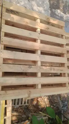Palet Kayu Bekas Layak Pakai