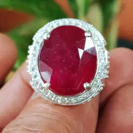 Merah Ruby Big Size Pigeon blood