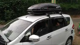 Roof Box Whale Carrier
