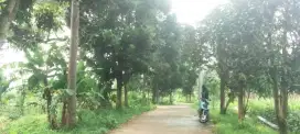 Lokasi Buat Resort / Villa view Gunung salak kota d megamendung bogor