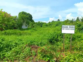 Jual tanah SHM di simpang empat batulicin tanah bumbu