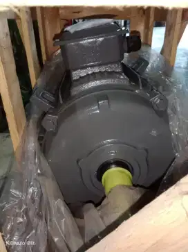 Dinamo Teco 15hp 1000rpm 3phase foot mounted
