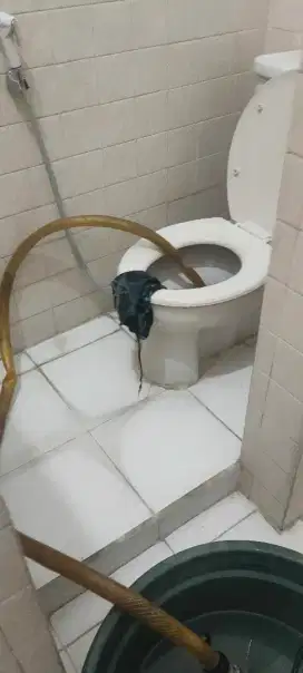 WASTAFEL MAMPET DAN SEDOT WC