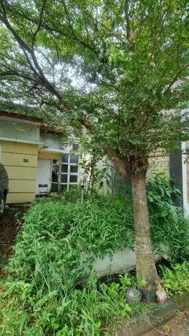 Jual BU Tanah dan Rumah apa adanya di Perum Permata Cimanggis Tapos